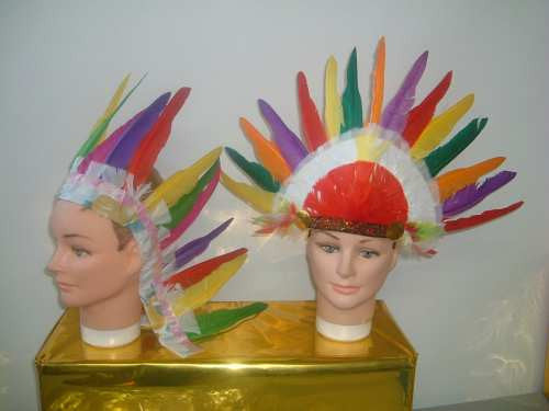 INDIAN HEADRESS FEATHER