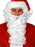 WHITE CURLY WIG AND BEARD IN SANTA SUIT