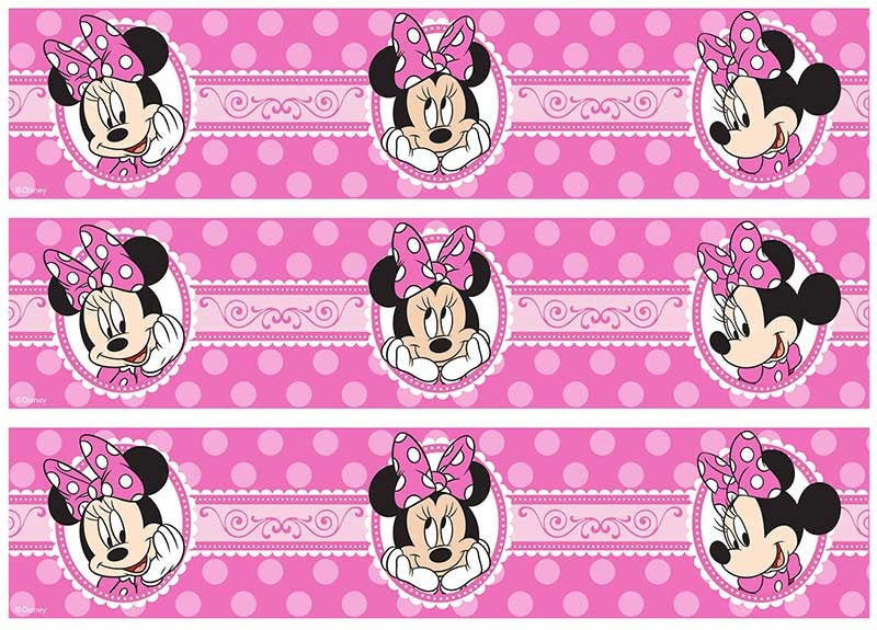 Minnie Mouse - Cake Strips A4 Edible Image