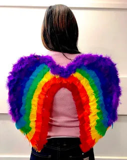 Rainbow Feather Wings 50cm x 45cm