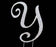 7cm Letter Y - Diamante Topper