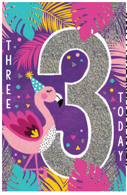 3rd Birthday Card Purple Flamingo