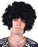 Afro With Chops Wig