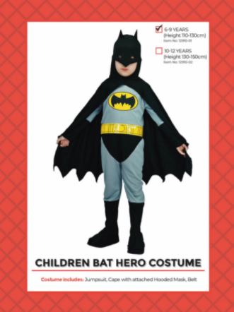 Bat Hero Childrens Costume