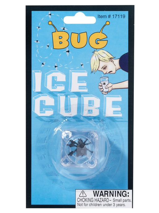 Bug in an Ice Cube