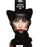 Adult Cat Set