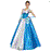 Cinderella Adult Costume