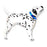 Foil Super Shape 90cm (35") Real Dalmatian