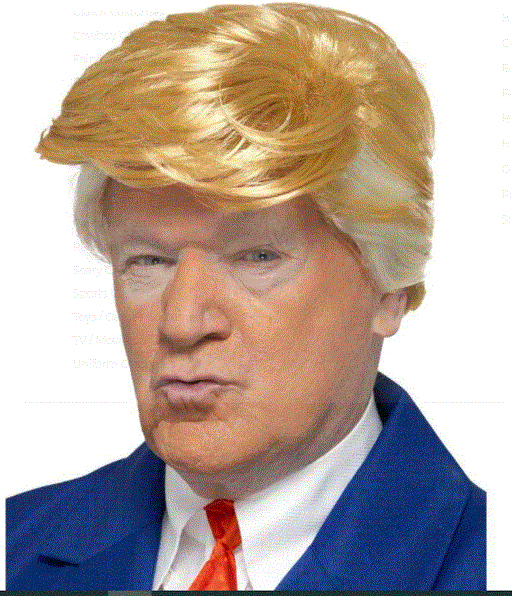 President Wig Blonde