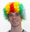 Clown Wig - Multi Coloured