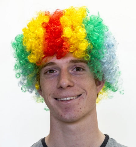 Clown Wig - Multi Coloured