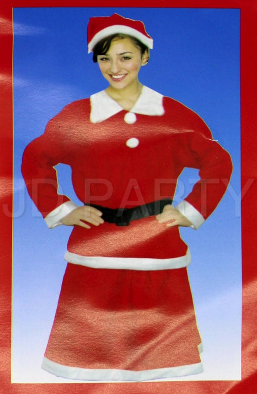 Women's Santa Suit Costume