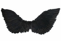 Wings Up Medium 70x30cm Black/White