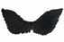 Wings Up Medium 70x30cm Black/White