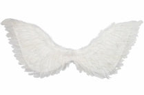 Wings Up Large & Folded Feather 90 x 50 cm