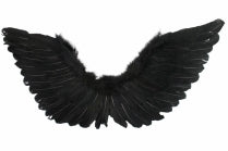 Wings Up Large & Folded Feather 90 x 50 cm