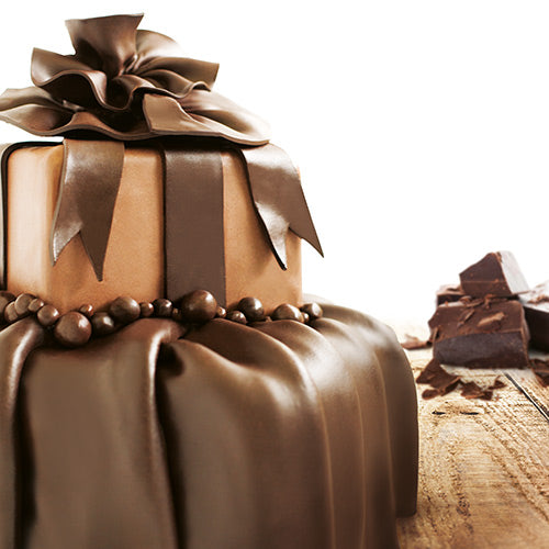 Vizyon Chocolate Modelling Paste 1Kg