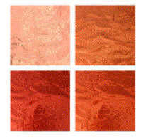 Foil For Wrapping Chocolate 4pk