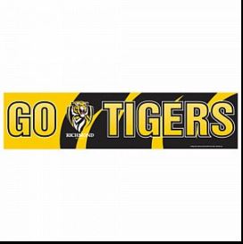 Richmond Go Banner