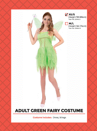 Adult Green Fairy Costume