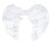Feather Angel Wings - Medium White